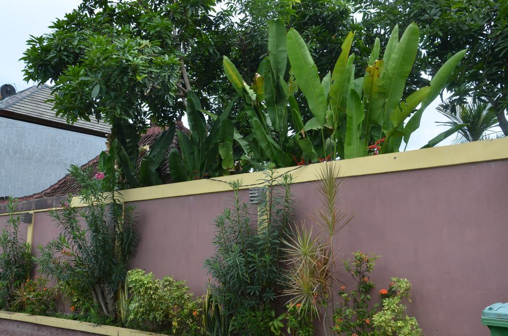 Villa Eva Canggu Kültér fotó